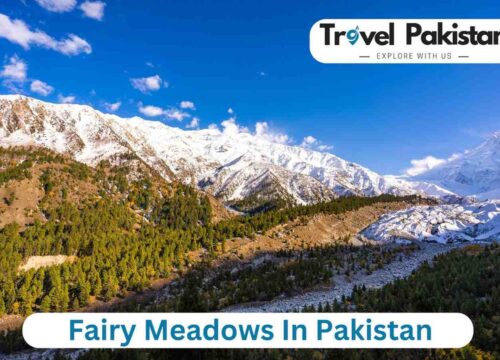 Fairy Meadows in Pakistan – A travelers paradise 